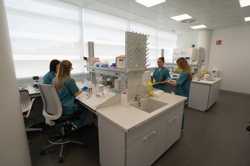 Campus Universidad Europea